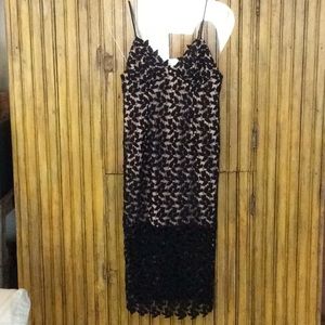 NWT Bardot Black Lace Dress